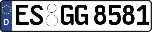 ES-GG8581
