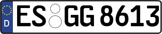 ES-GG8613
