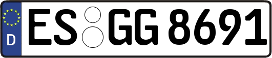 ES-GG8691