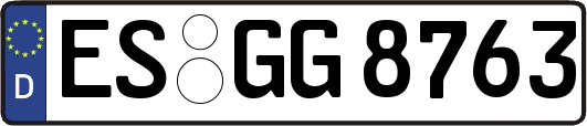 ES-GG8763