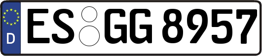 ES-GG8957