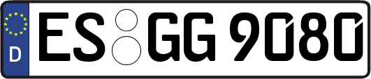 ES-GG9080