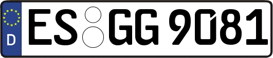 ES-GG9081