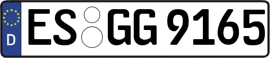 ES-GG9165