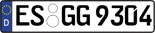 ES-GG9304