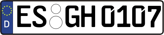 ES-GH0107