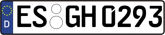 ES-GH0293