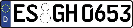 ES-GH0653