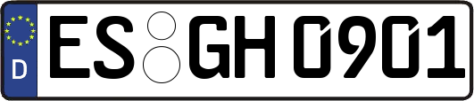 ES-GH0901