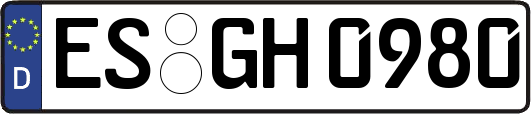 ES-GH0980