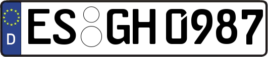 ES-GH0987
