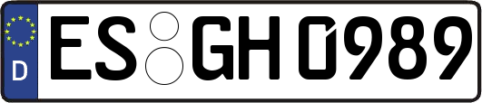 ES-GH0989