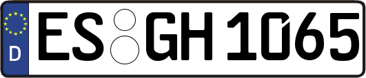 ES-GH1065