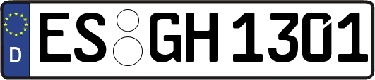 ES-GH1301