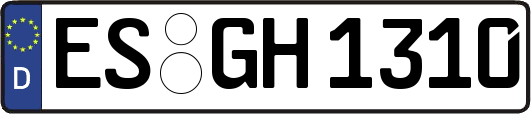 ES-GH1310
