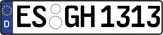 ES-GH1313