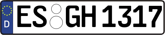 ES-GH1317