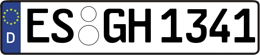 ES-GH1341