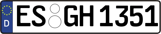 ES-GH1351
