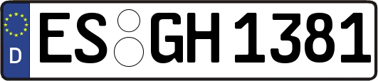 ES-GH1381