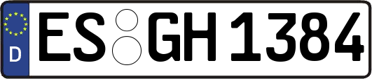 ES-GH1384