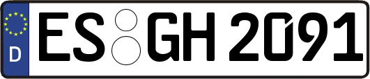ES-GH2091