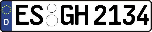 ES-GH2134