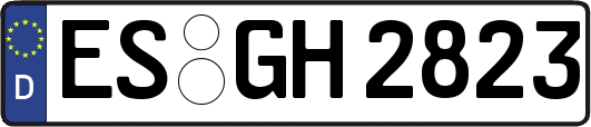ES-GH2823