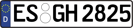 ES-GH2825
