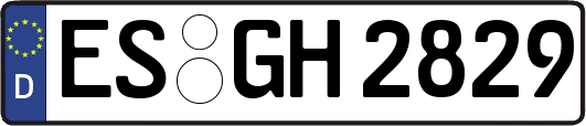 ES-GH2829