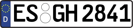 ES-GH2841