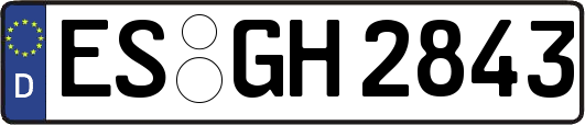 ES-GH2843