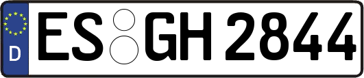 ES-GH2844
