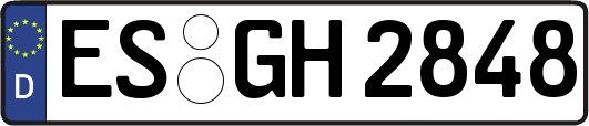 ES-GH2848