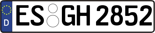 ES-GH2852