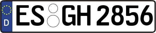 ES-GH2856