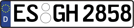 ES-GH2858