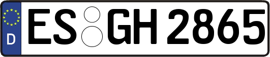 ES-GH2865