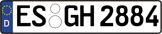 ES-GH2884