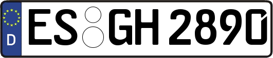 ES-GH2890