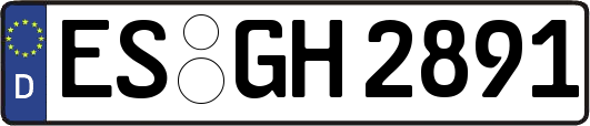 ES-GH2891