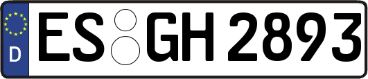 ES-GH2893
