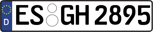 ES-GH2895