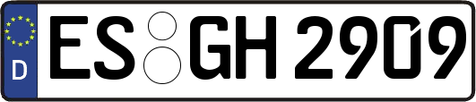 ES-GH2909