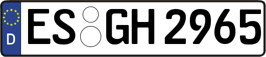 ES-GH2965