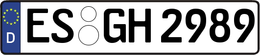 ES-GH2989