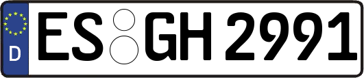 ES-GH2991