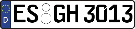 ES-GH3013