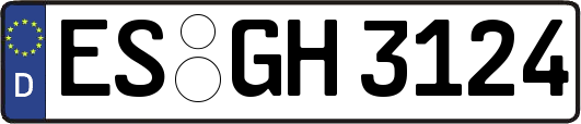 ES-GH3124
