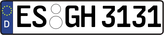 ES-GH3131